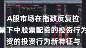 A股市场在指数反复拉锯阶段背景下中股票配资的投资行为新特征与